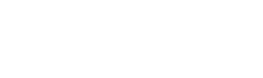 Prestige Falcon Project Management Consultancy